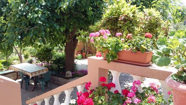 Apartmani Danijel – fotografija 4