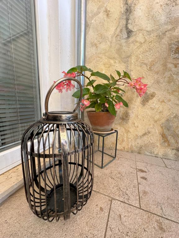 Apartman Mas – fotografija 6