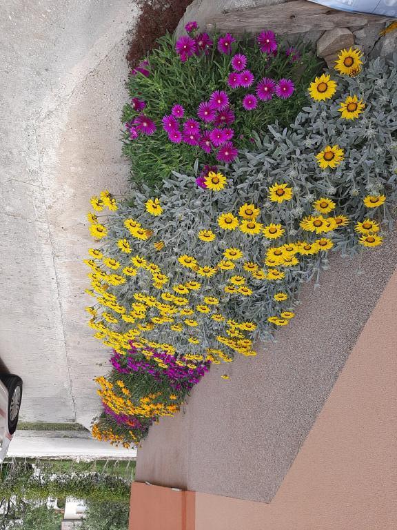 Apartman Mare – fotografija 3