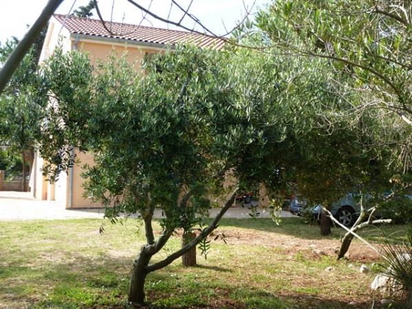 Apartmani Nada Glavan – fotografija 4