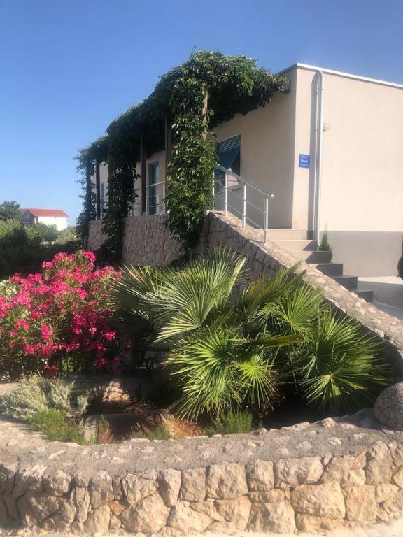 Apartman Franka – fotografija 5