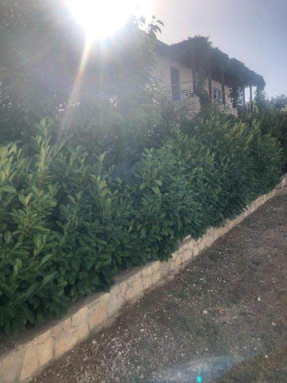 Apartman Franka – fotografija 6