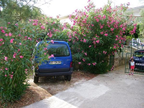 Apartmani Frane – fotografija 3