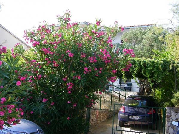 Apartmani Frane – fotografija 4