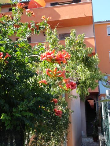 Apartmani Klaudija – fotografija 5