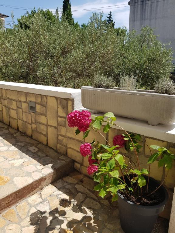 Apartmani Adriatic House Perić – fotografija 3
