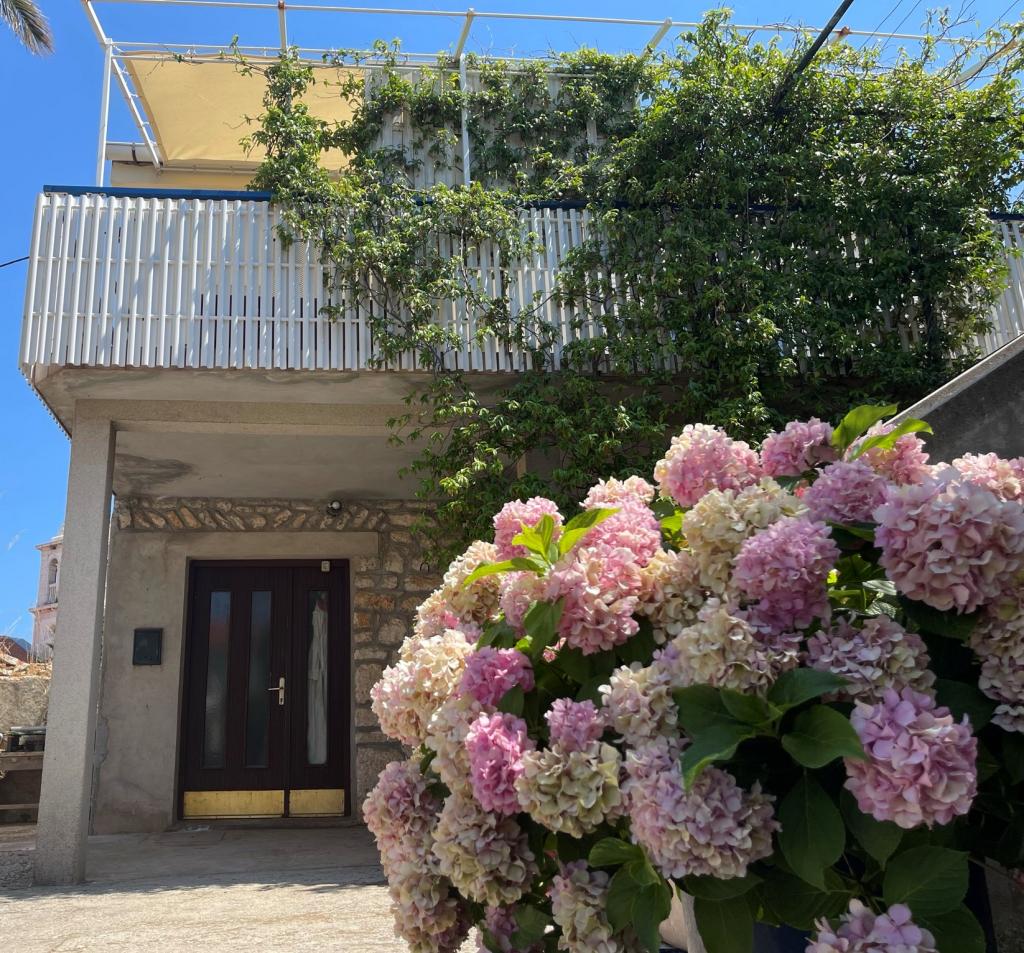 Apartmani Gardelin – fotografija 6
