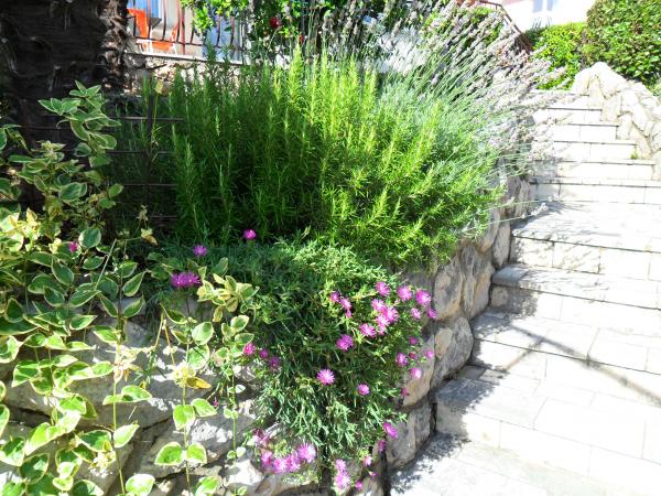 Apartman Mikić – fotografija 4