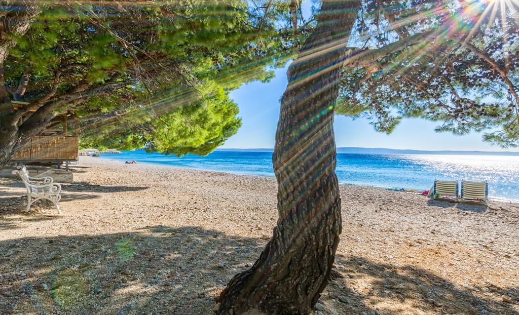 Apartmani Gorana – fotografija 4