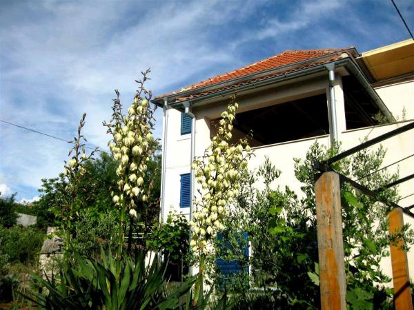 Apartmani Katina – fotografija 5