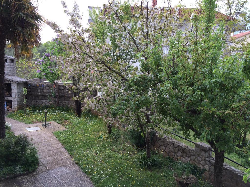 Apartmani Golik – fotografija 3