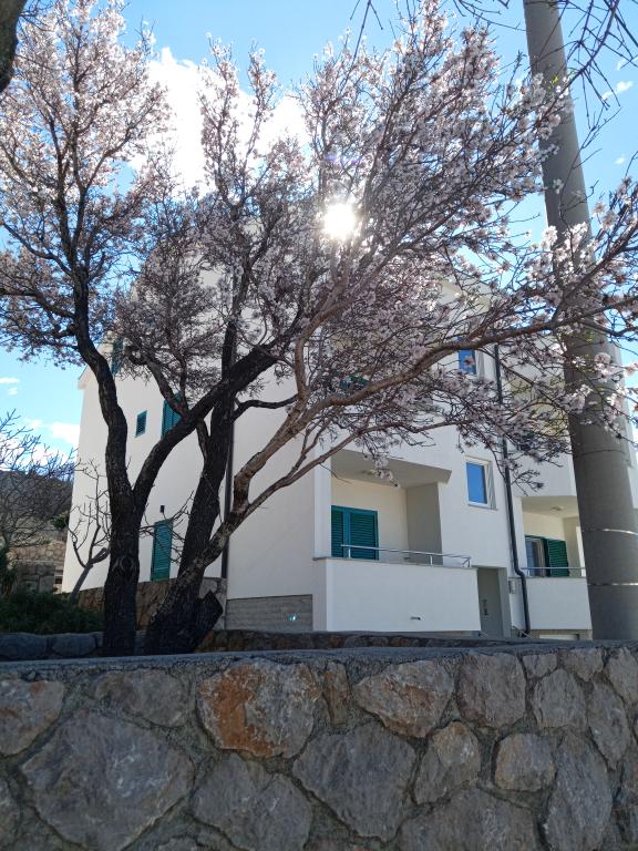 Apartmani Villa Luce – fotografija 3