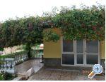 Apartmani Milica – fotografija 4