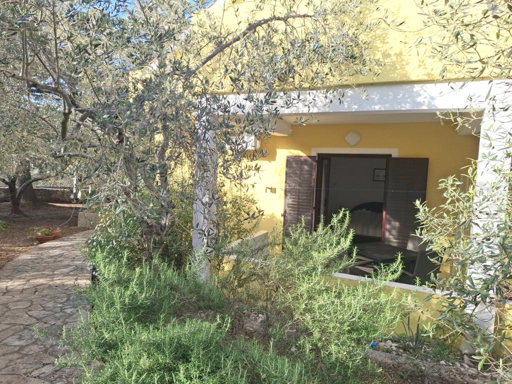 Apartmani Galius – fotografija 5