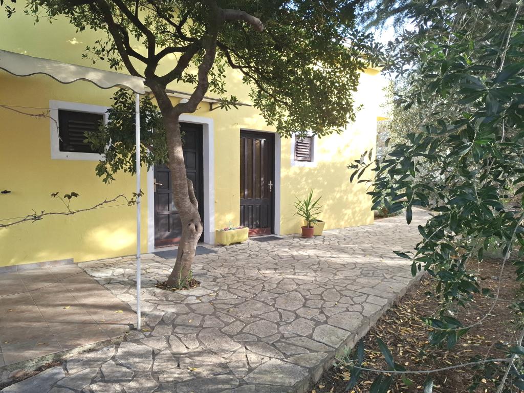 Apartmani Galius – fotografija 6