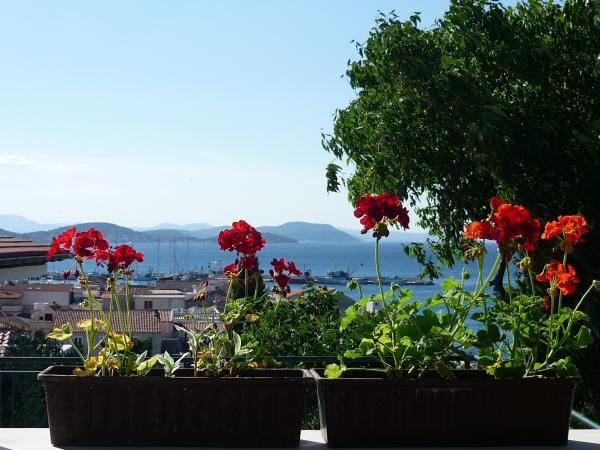 Apartman Agava – fotografija 1