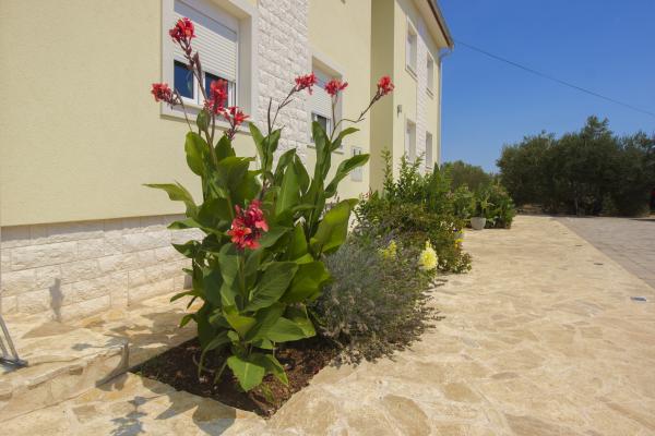 Apartmani Gornje Starine – fotografija 3
