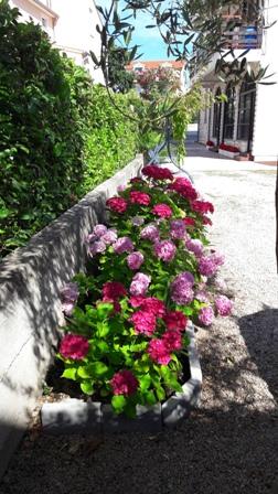 Apartmani Dijana – fotografija 4