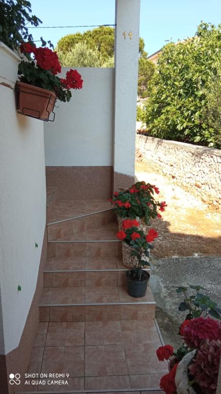 Apartman Barać – fotografija 3