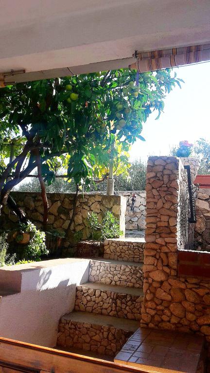 Apartman Barać – fotografija 5