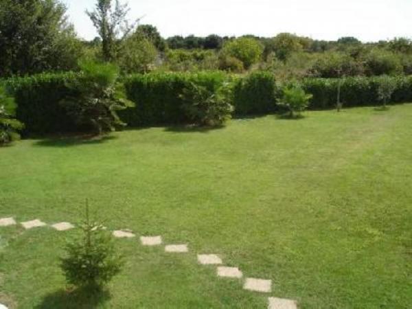Apartmani Mediteranea – fotografija 3