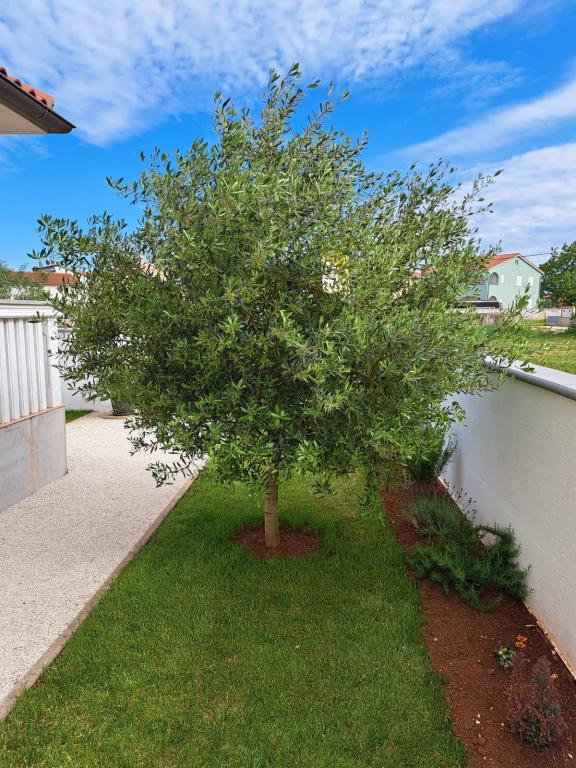 Apartmani Mala Vala – fotografija 6