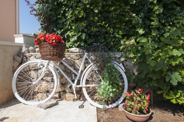 Apartmani Luka – fotografija 5