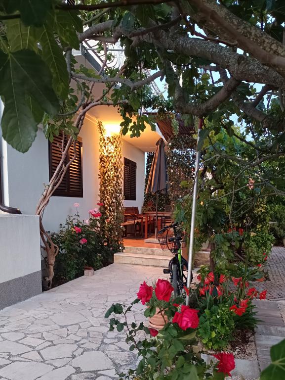 Apartmani Marija – fotografija 6