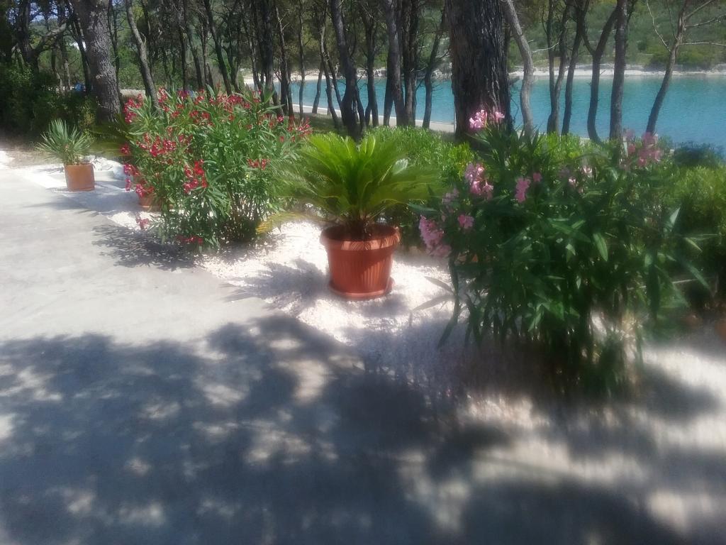 Apartman Ema – fotografija 4