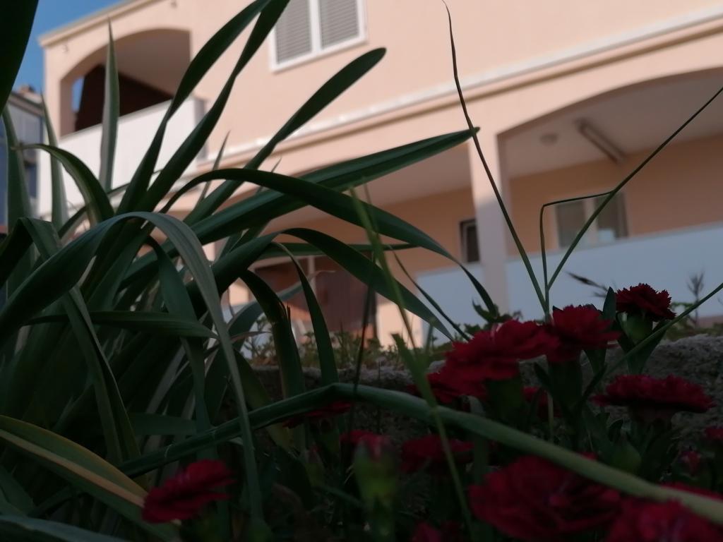 Apartmani Vinko – fotografija 4