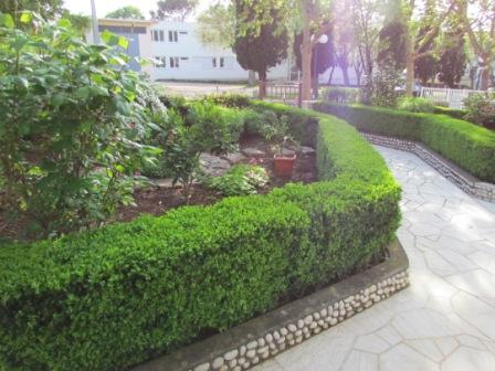 Apartmani Katica Antić – fotografija 6
