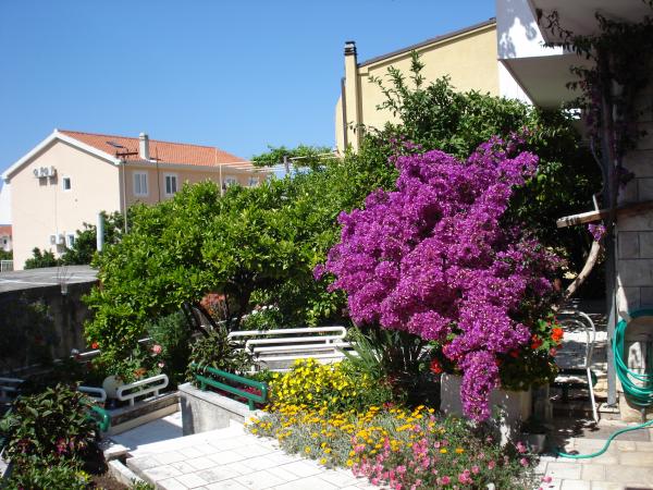 Apartmani Minka i Vite – fotografija 2