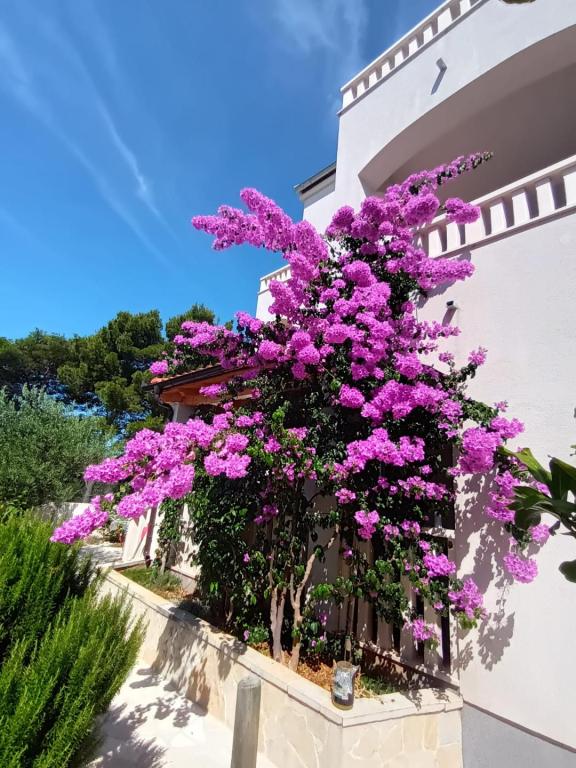 Apartmani Pinea Sol – fotografija 5