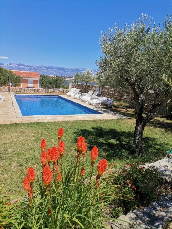 Apartmani Ante – fotografija 5