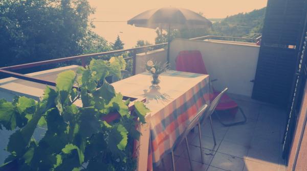 Apartmani Ledenik – fotografija 4