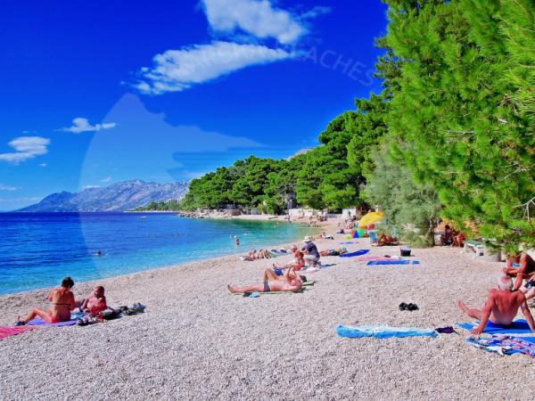Apartmani Dominović Mladinov – fotografija 5