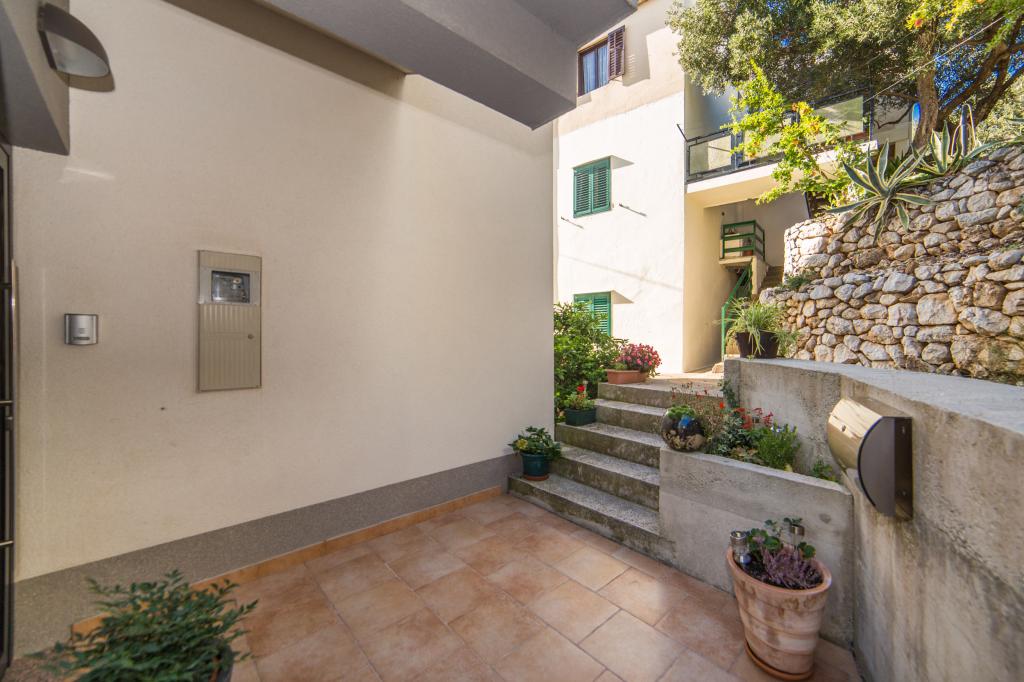 Apartmani Color Miošić – fotografija 6