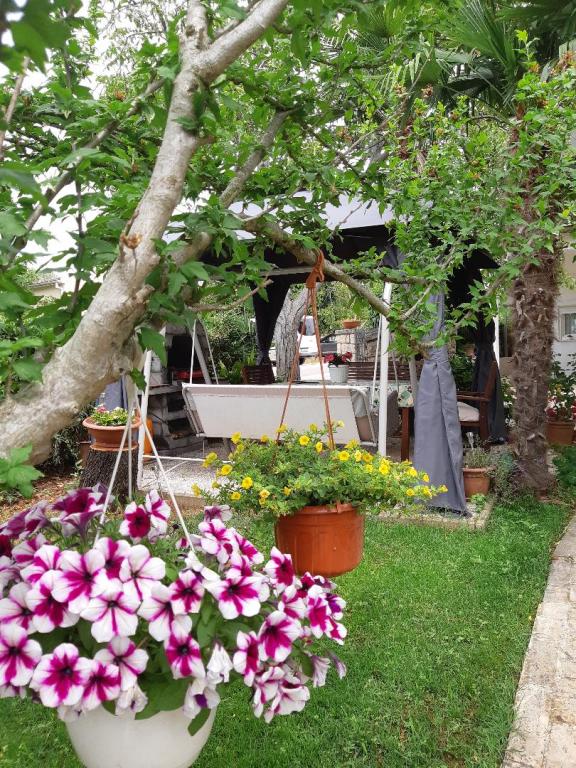 Apartmani Odak – fotografija 5