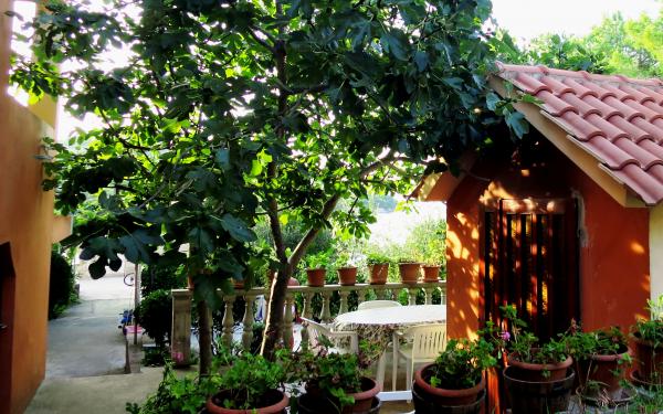 Apartmani Tereza – fotografija 5