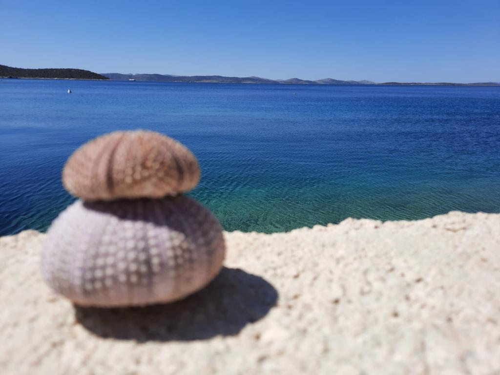 Mobilna kućica Beach House Petra – fotografija 6