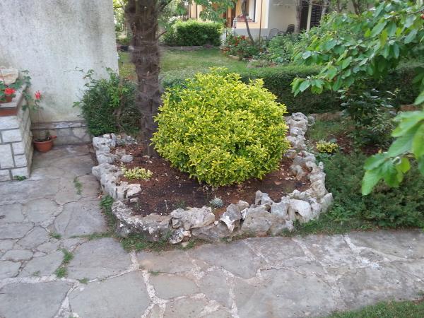 Apartmani Božac – fotografija 3