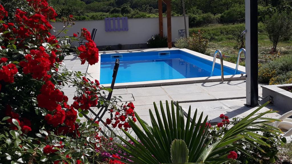Apartmani Adriatic – fotografija 5