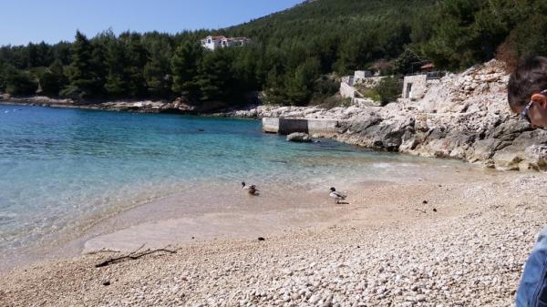 Apartmani Rakic – fotografija 4