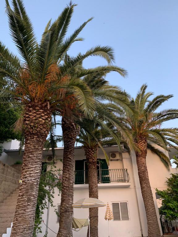 Apartmani Villa Palma – fotografija 3