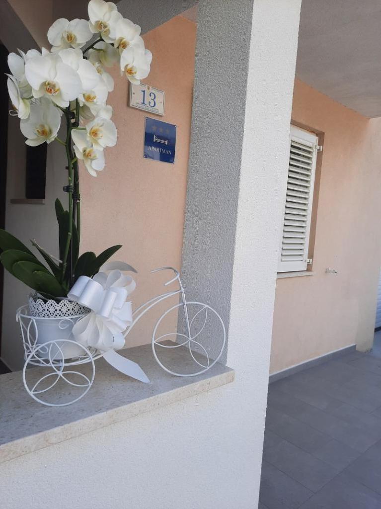 Apartman Stefi – fotografija 3