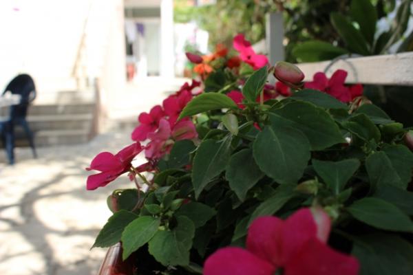 Apartmani Tanja – fotografija 6