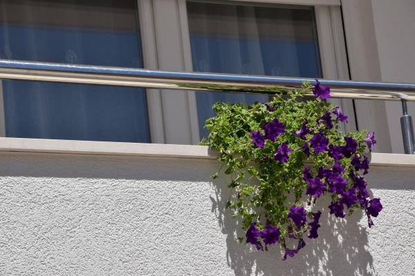 Apartman Jerčić – fotografija 5