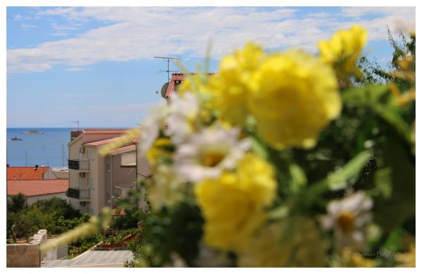 Apartmani Ivan – fotografija 6