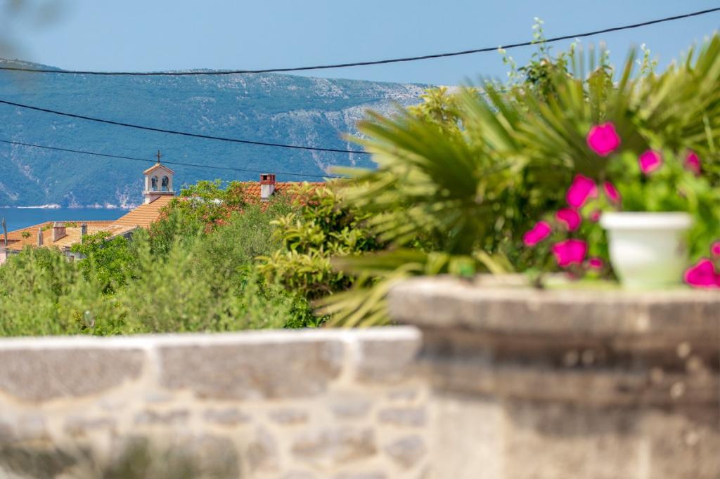 Albina – fotografija 6