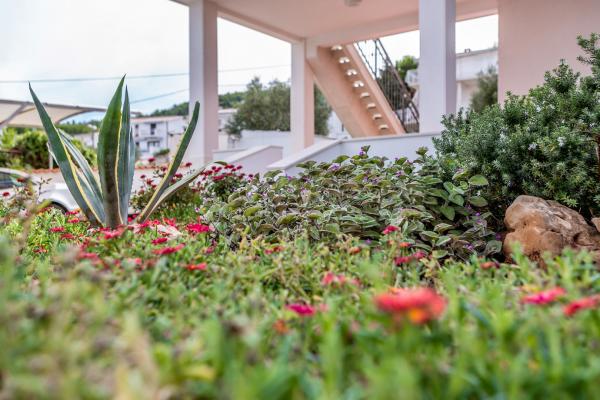 Apartmani Antonia – fotografija 6